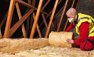 Loft insulation