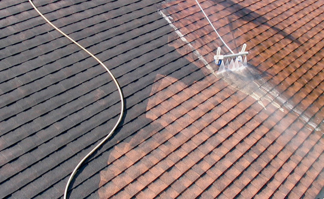 Roof cleaning
