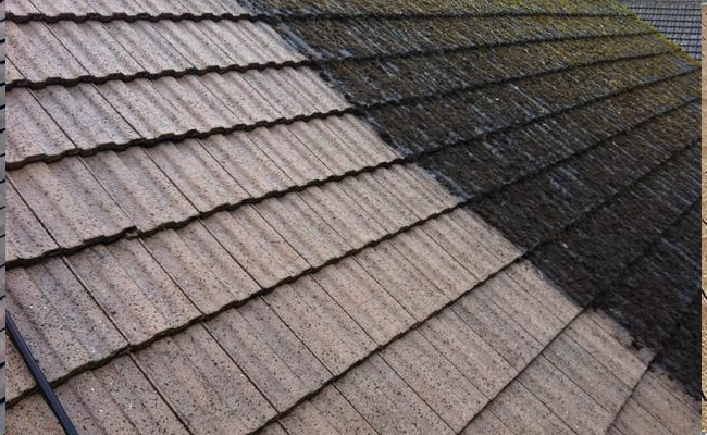 Roof cleaning