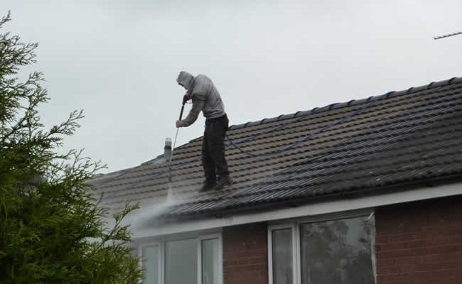 Roof cleaning