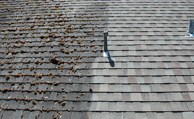 Roof cleaning