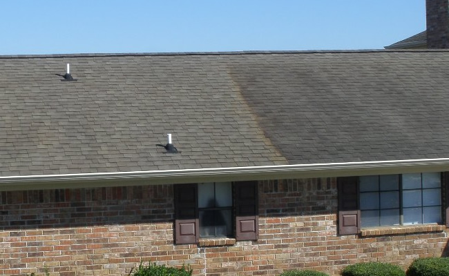 Roof cleaning
