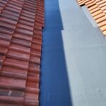 New Butterfly Roof